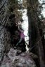 09-28 Redwoods Power.jpg - 